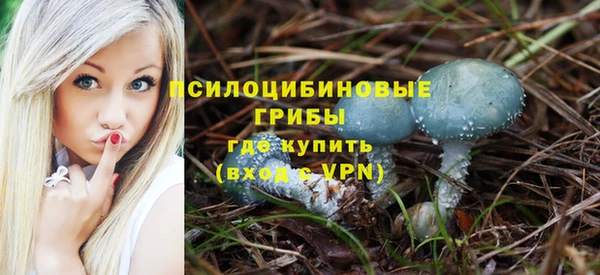 PSILOCYBIN Волгодонск