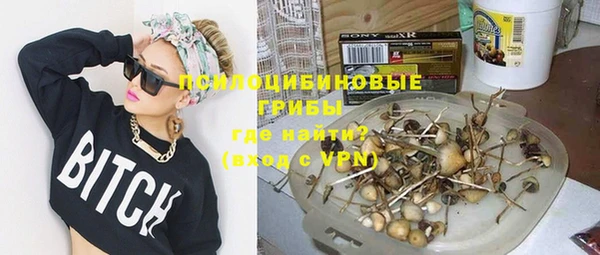 PSILOCYBIN Волгодонск