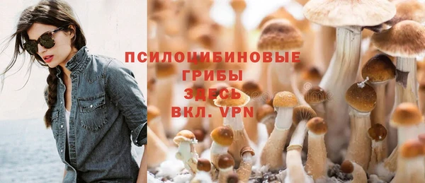 PSILOCYBIN Волгодонск