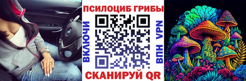 сколько стоит  Бакал  Псилоцибиновые грибы ЛСД 